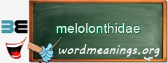 WordMeaning blackboard for melolonthidae